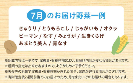 高槻野菜おまかせ詰め合わせセット 7月（10種〜15種）[AOCS013] 野菜セット