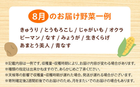 高槻野菜おまかせ詰め合わせセット 8月（10種〜15種）[AOCS014] 野菜セット