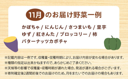高槻野菜おまかせ詰め合わせセット 11月（10種〜15種）[AOCS017] 野菜セット