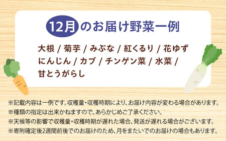 高槻野菜おまかせ詰め合わせセット 12月（10種〜15種）[AOCS018] 野菜セット