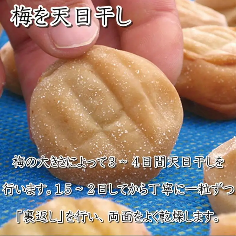 梅干し  贈答　白干梅（木樽入り）1kg　塩分約15%【和歌山産】うめぼし　印南町　