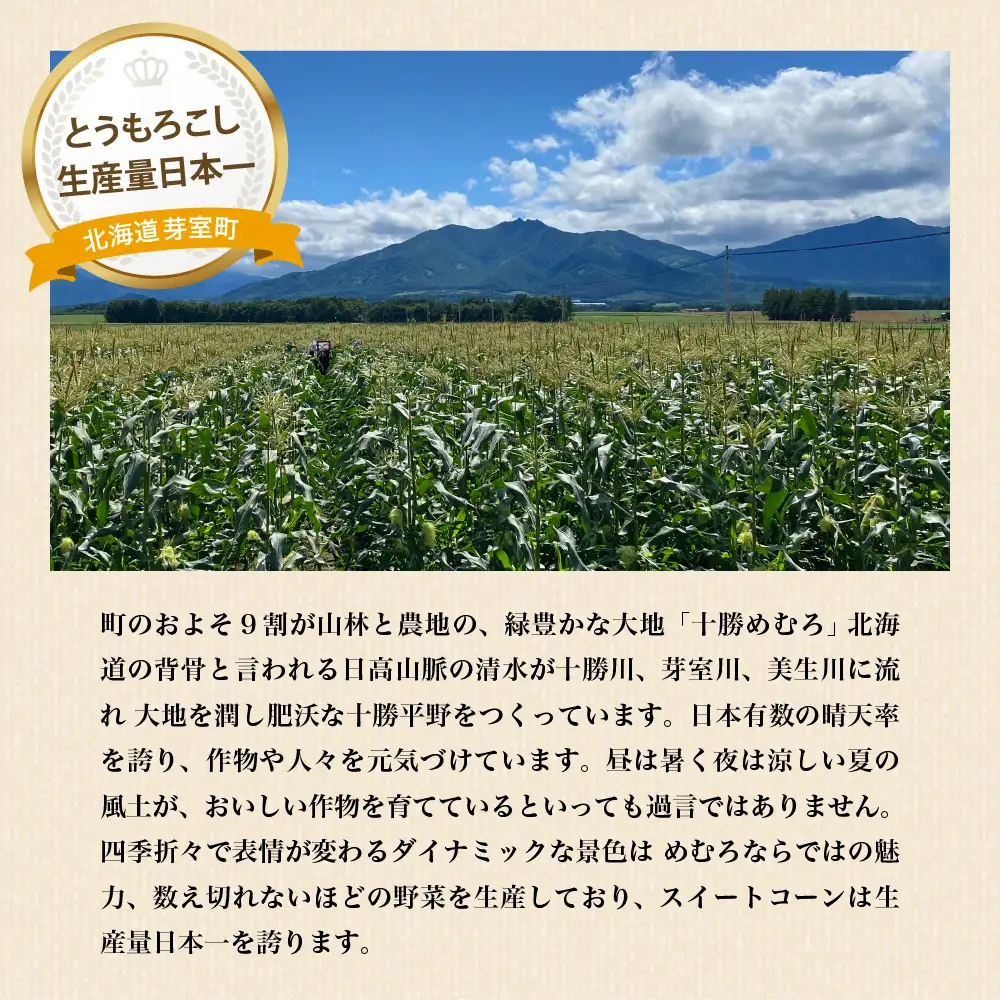 手軽で美味しい！北海道十勝芽室町 ポップコーン イエロー20本 手軽で美味しい！北海道十勝芽室町 ポップコーン イエロー5本 手軽で美味しい！北海道十勝芽室町 ポップコーン イエロー30本 手軽で美味しい！北海道十勝芽室町 ポップコーン イエロー10本 軸付き カラフル ポップコーン 電子レンジ対応特殊袋付き 軽食 とうもろこし おやつ お菓子 スナック菓子 お取り寄せ ご当地 送料無料 北海道 十勝 芽室町me066-005c