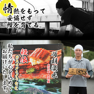 【数量限定】鹿児島県産！秘伝の特上スタミナうなぎ超特大蒲焼き1尾＜200g以上！＞肝吸いセット！  a1-150