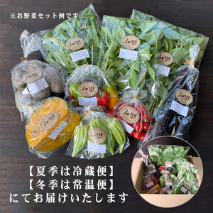 旬 の 野菜 詰め合わせ セット 3ヶ月 定期便 7 ~ 9 品 【2025年5月以降順次発送】 お楽しみ 産地直送 農家直送 季節 春 夏 秋 冬 露地野菜 やさい サラダ 農薬 化学肥料 不使用 下関 山口 IN002