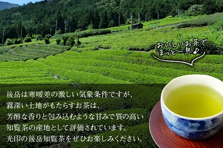 心潤す光印の知覧茶5本セット【1186242】