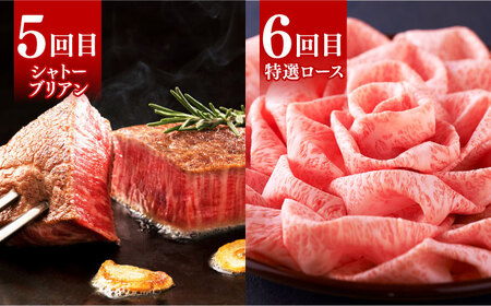 【全6回定期便】博多和牛 食べ比べ 4人前 [ABCL158]