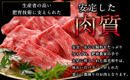 くまもと黒毛和牛 すき焼き用 500g《90日以内に出荷予定(土日祝除く)》 南阿蘇L（阿蘇牧場）
