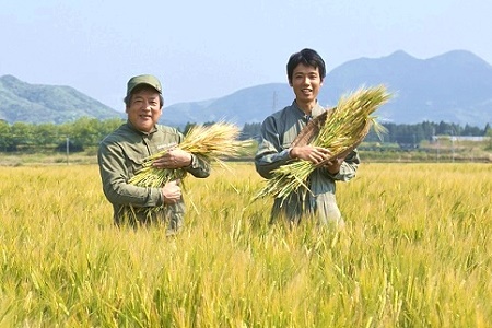 川辺味噌1kg×5袋セット【1185769】
