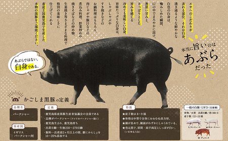 「かごしま黒豚さつま」デミグラスハンバーグ10個セット【配送不可地域：離島】【1185772】