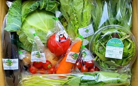 【6か月連続定期便】熊本季節の野菜セット 16品目