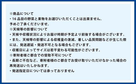 【6か月連続定期便】季節の果物と野菜セット 16品目