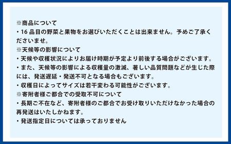 【12か月連続定期便】季節の果物と野菜セット 16品目