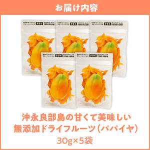 【先行受付】沖永良部島の甘くて美味しい無添加ドライフルーツ（パパイヤ）30g×5袋 W051-008u 加工品 果物