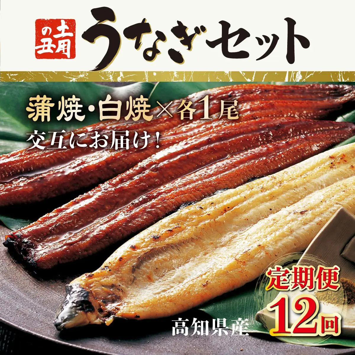 【12回 定期便】うなぎ 蒲焼き 2尾 定期便 12回 うなぎ yj057