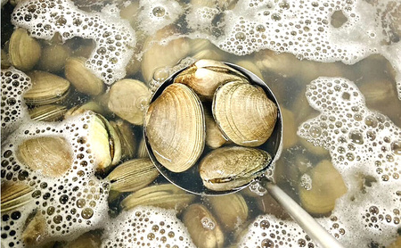 厚岸あさりのあっさり 塩ラーメン 3個 ラーメン 麺類 