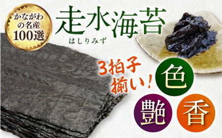 【全6回定期便】【訳あり】ごま塩味付け海苔 八切り80枚×1袋（全形10枚分）【丸良水産】［AKAB075］