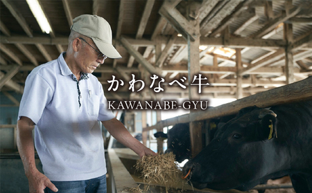 A4ランク以上!かわなべ牛切り落とし500g【配送不可地域：離島】【1185801】