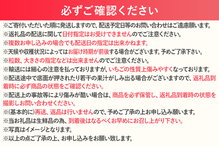 【2027年発送先行予約】あまおうデラックス（約250‐270g x2パック） お取り寄せグルメ お取り寄せ 福岡 お土産 九州 福岡土産 取り寄せ グルメ 福岡県