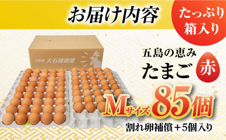 【箱入り】五島の恵みたまご Mサイズ 85個入 / 卵 赤玉子 五島市 / 五島列島大石養鶏場 [PFQ004]  玉子 タマゴ 鶏卵 希少 五島列島