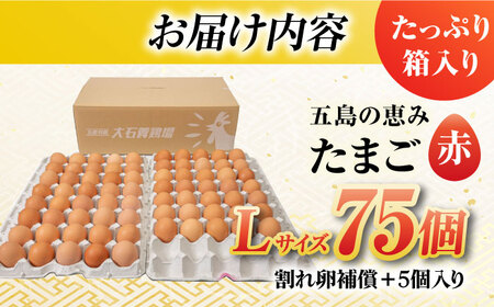 【箱入り】五島の恵みたまご Lサイズ 75個入 / 卵 赤玉子五島市 / 五島列島大石養鶏場 [PFQ005]  玉子 タマゴ 鶏卵 希少 五島列島