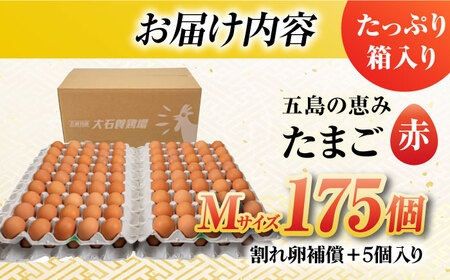 【箱入り】五島の恵みたまご Mサイズ 175個入 / 卵 赤玉子 五島市 / 五島列島大石養鶏場 [PFQ006]  玉子 タマゴ 鶏卵 希少 五島列島