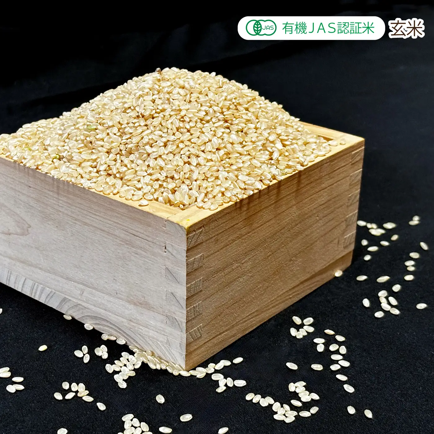 令和7年産 有機JAS 認証米有機於保地米 【玄米】コシヒカリ10kg（5kg×2袋）