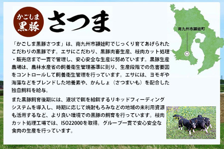 「かごしま黒豚さつま」餃子128個セット【配送不可地域：離島】【1185797】