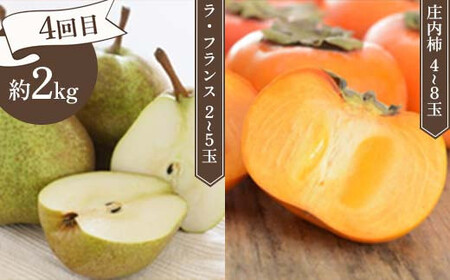 ≪先行予約令和8年度発送≫ みちのく“立秋”詰合せフルーツ定期便 全4回 赤肉メロン メロン 赤肉 デザート フルーツ 果物 くだもの 果実 食品 山形県 FSY-2474