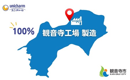 ソフィ はだおもい 極うすスリム 多い夜用２９０　15枚×８ 日用品 生理用品 ナプキン ユニチャーム