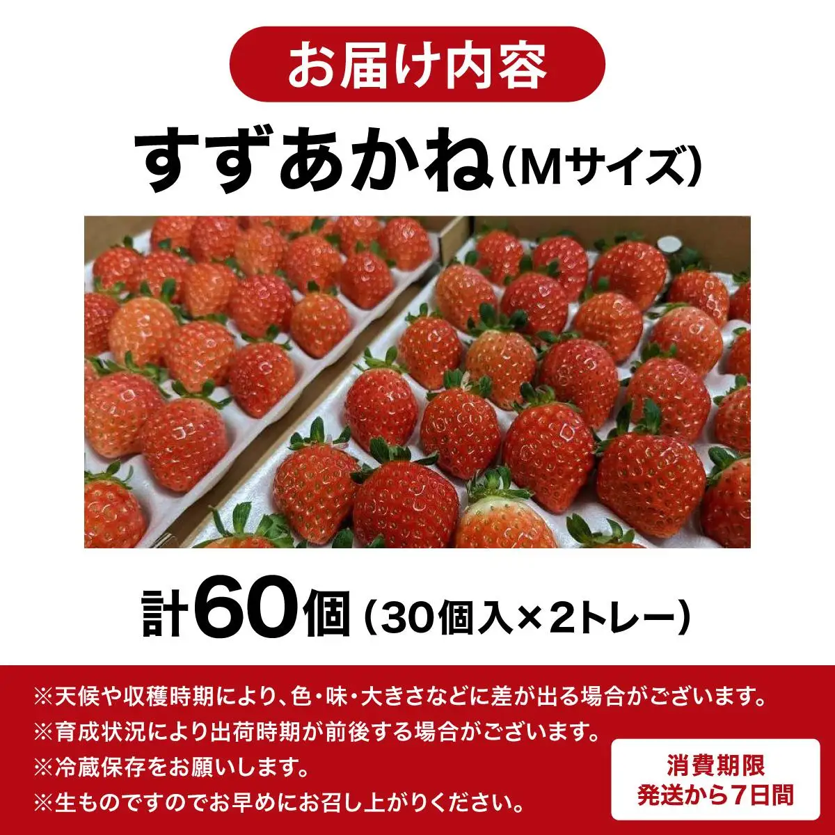 ＜先行予約＞ 北海道 伊達市 いちご すずあかね Mサイズ 30個入り 2トレー 60個【55250946】