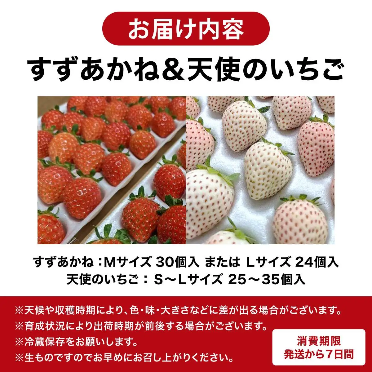 ＜先行予約＞ 北海道 伊達市 天使のいちご（S～Lサイズ 25～35個） すずあかね（Mサイズ30個またはLサイズ24個）【55250948】