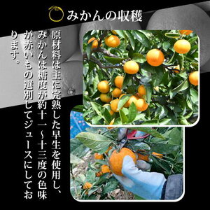 ZY6104n_果樹園紀の国 有田みかんの和 180ml 12本入