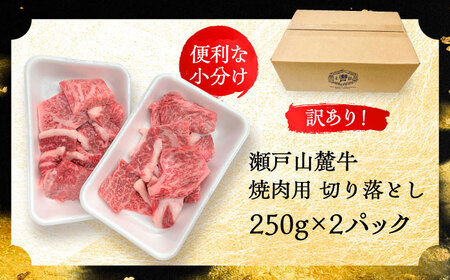 【訳あり】瀬戸山麓牛焼肉用切り落とし500g（250g×2P）/ 牛肉 お肉 国産 冷凍  [BBBQ047]