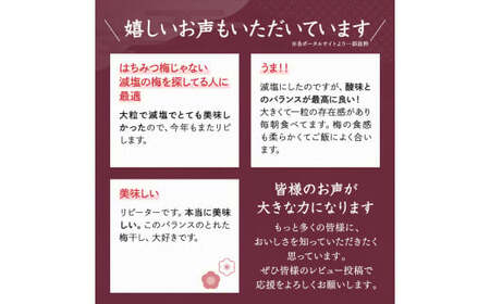 一梅千日うす塩味梅（塩分6％） 「風」 A級4Lサイズ500g / 和歌山県 田辺市 紀州南高梅 南高梅 梅干し 梅干 梅 うめ A級品 4L 肉厚 お米 おにぎり 焼酎 梅酒 健康 うす塩味 塩分6％ ご飯のお供 【umm019】