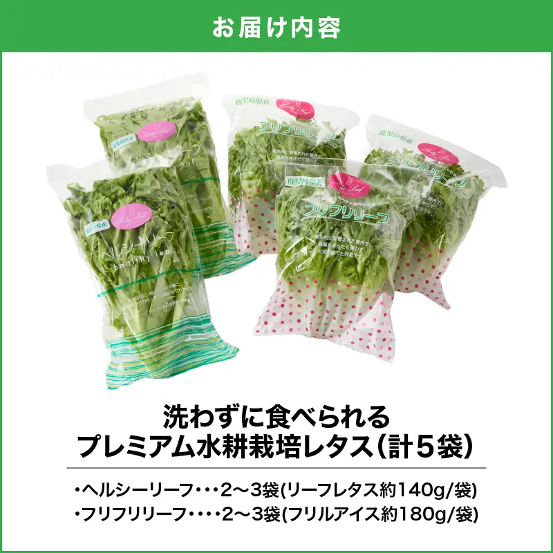 2257 洗わずに食べられる プレミアム 水耕栽培 レタス 5袋 KN064-001 野菜