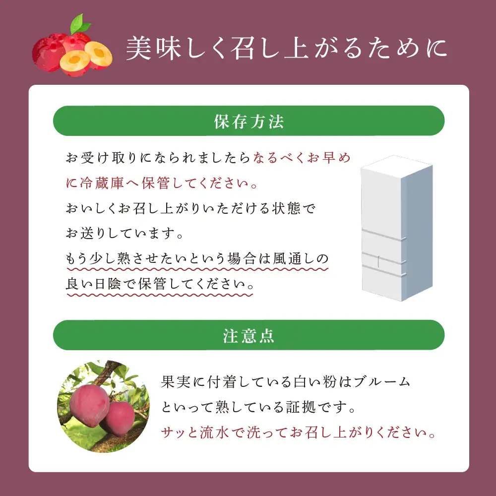 【 先行受付 】 プラム 恋花火 1kg フルーツ 果物 くだもの 旬のフルーツ 旬の果物 季節のフルーツ 季節の果物 北海道 芦別市
