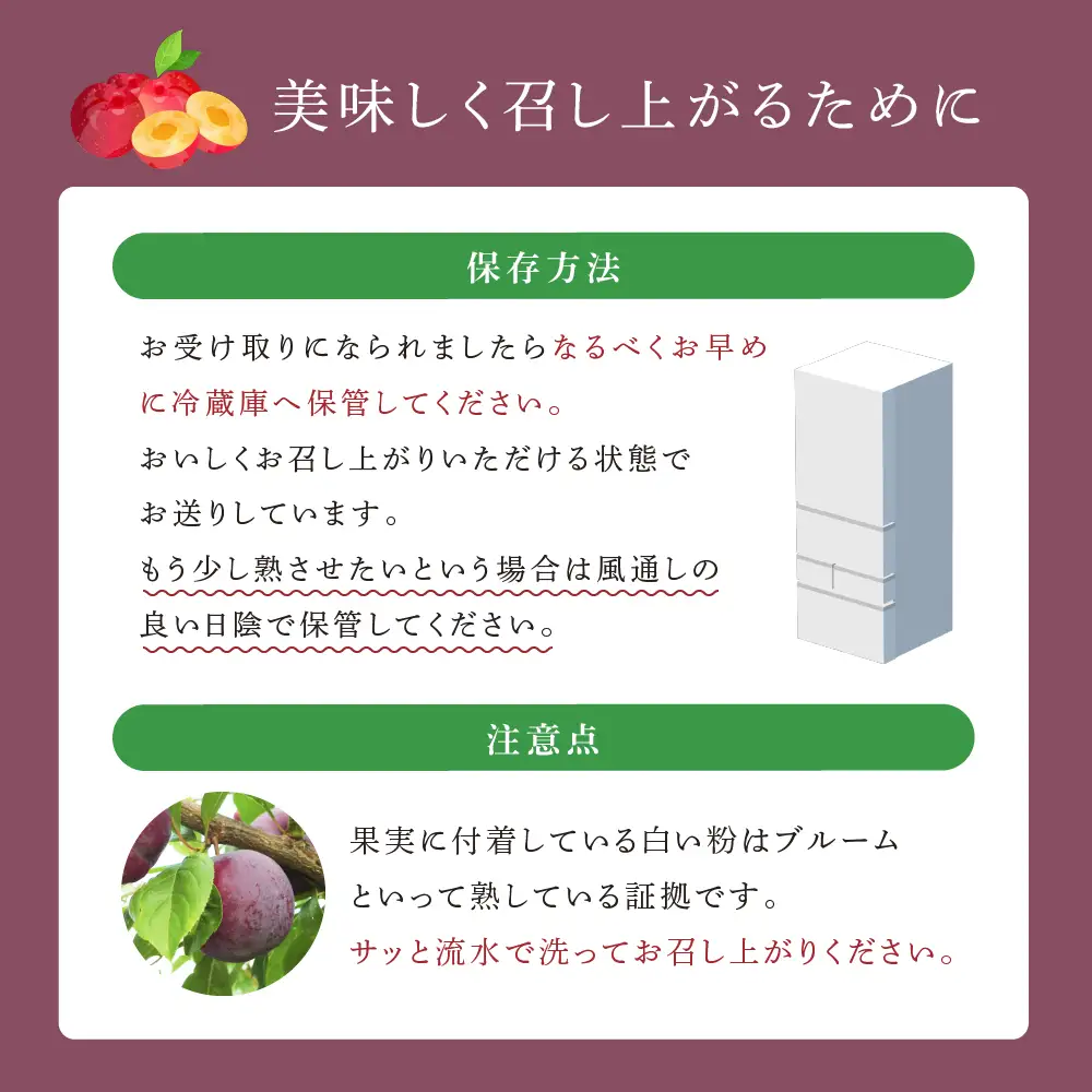 【 先行受付 】プラム 紅香のしずく 1kg 北海道産 すもも フルーツ 果物 旬のフルーツ 旬の果物 くだもの 北海道 芦別市