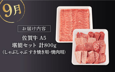 【定期便】 牛肉 佐賀牛 夏の定期便 NAB104 牛肉