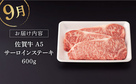 【定期便】 牛肉 佐賀牛 夏の定期便 NAB105 牛肉