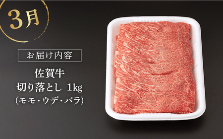 【定期便】 牛肉 佐賀牛 冬の定期便 NAB108 牛肉