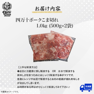 ◆丁度いい1.0㎏◆四万十町産◆新鮮国産ブランド豚こま切れセット 500g×2袋 国産豚肉 こま切れ 冷凍 小分け ／Adf-A24