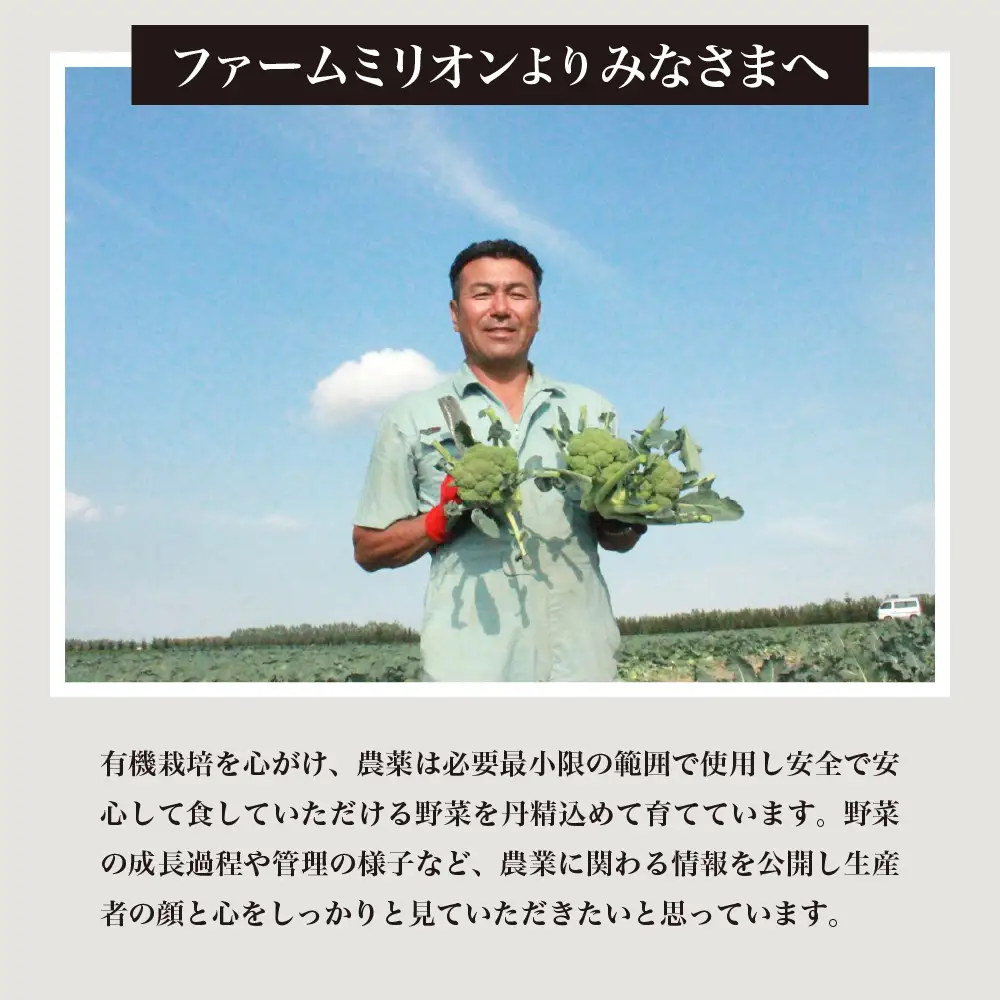 極甘つぶコーン×ごぼうご飯の素 ゴールドラッシュ250g 8袋 ごぼうご飯の素 400ｇ 2袋 とうもろこし ゴールドラッシュ ピーターコーン トッピング キャンプ飯 お取り寄せ グルメ セット 冷凍発送 北海道 十勝 芽室町me016-005c