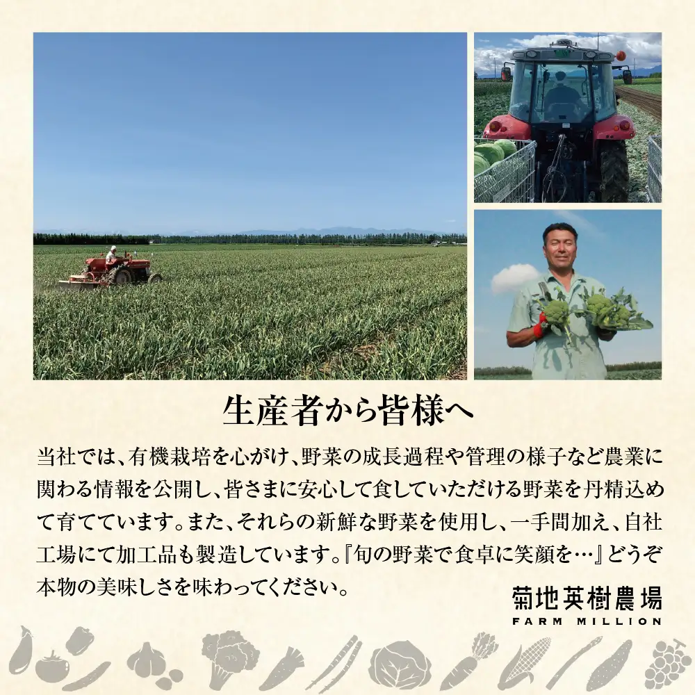 大地の熟成 手造り味噌 700g なんばん味噌 240g 山わさび 80g セット 十勝産大豆 調味料 わさび 味噌汁 ラーメン うどん パスタ 送料無料 北海道 十勝 芽室町me016-008c