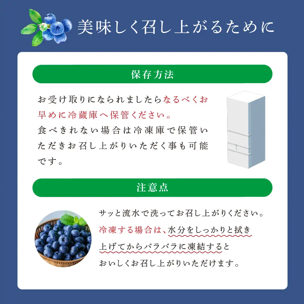 【 先行受付 】ブルーベリー ミックス 1kg 冷蔵 果物 くだもの フルーツ 旬の果物 旬のフルーツ 8品種 ミックスブルーベリー 大粒 小粒 北海道 芦別市