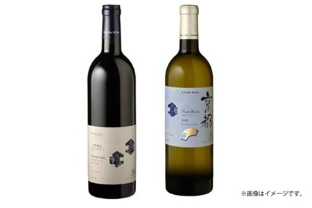【定期便】丹波ワイン 6カ月 定期便 