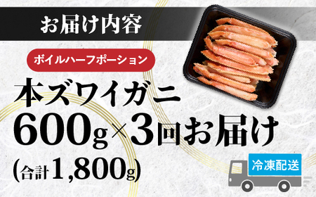  【定期便 3回お届け】 訳あり 冷凍 ボイル ずわいがに 足 600g ズワイガニ | ハーフポーションギフト 2025
