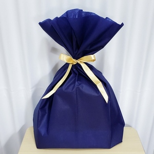 コケテラリウム制作キット直径15cm 動画説明付き〈コケ 苔 こけ 植物 初心者 インテリア 手作り セット キッド 雑貨 日用品〉 