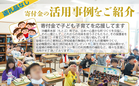 【返礼品なし】沖縄県本部町ふるさと応援寄附金 10000円 寄附のみの応援 寄附のみ 返礼品なし 返礼品無し　御礼品なし　御礼品無し
