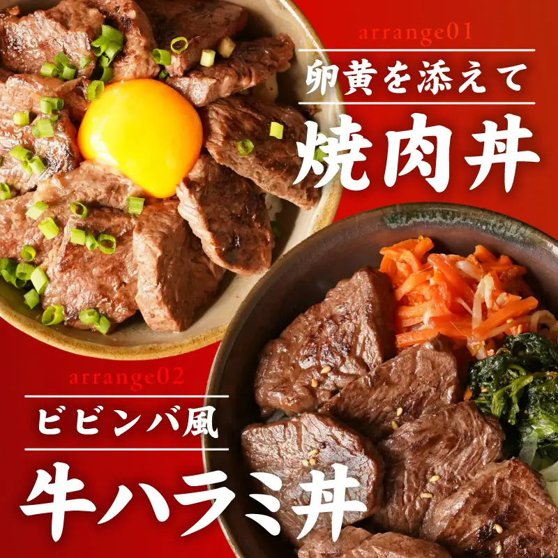 牛肉 ハラミ 1.5kg 小分け 250g×6P 氷温熟成×極味付け