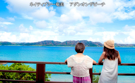【奄美大島：龍郷町】しろくまツアーで利用可能なWEB旅行クーポン（10000円分）